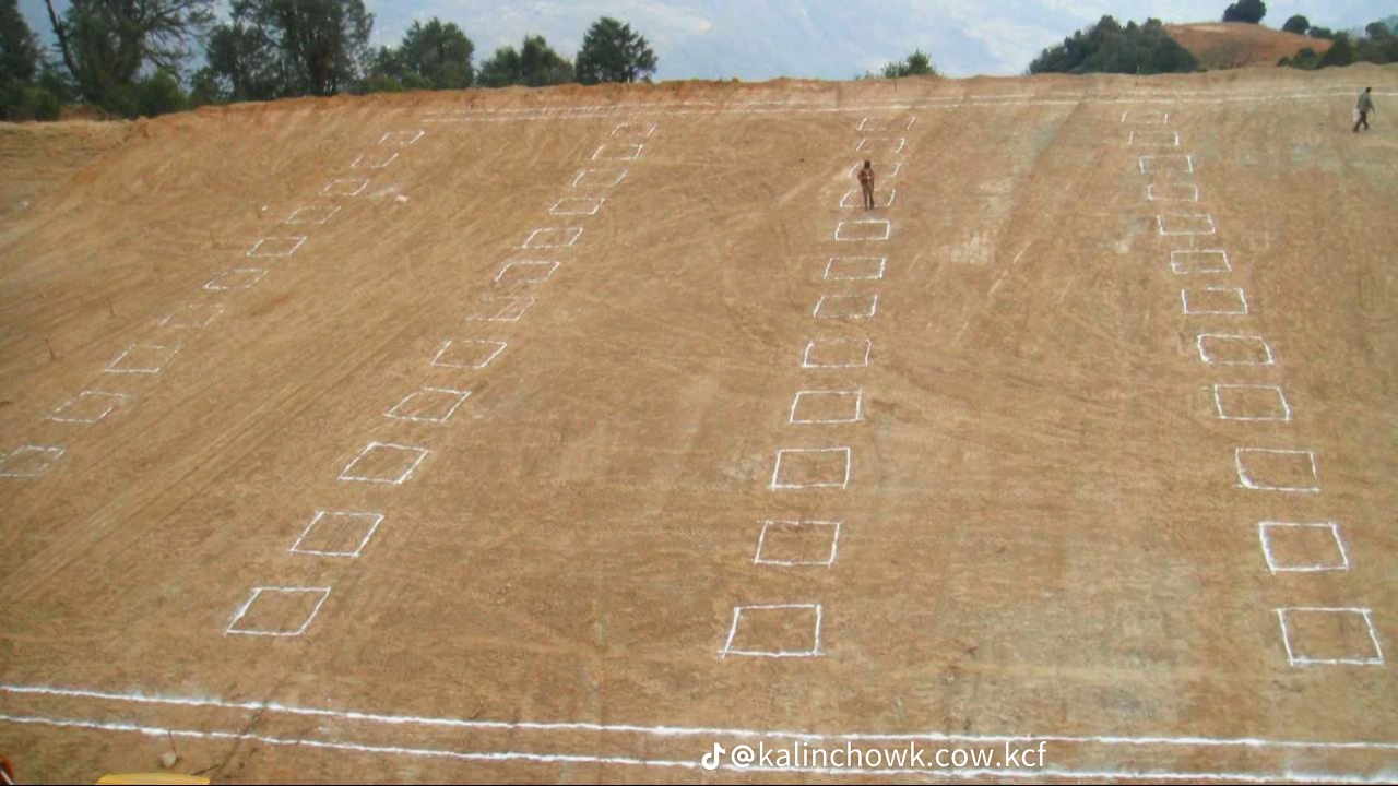 Construction Phase