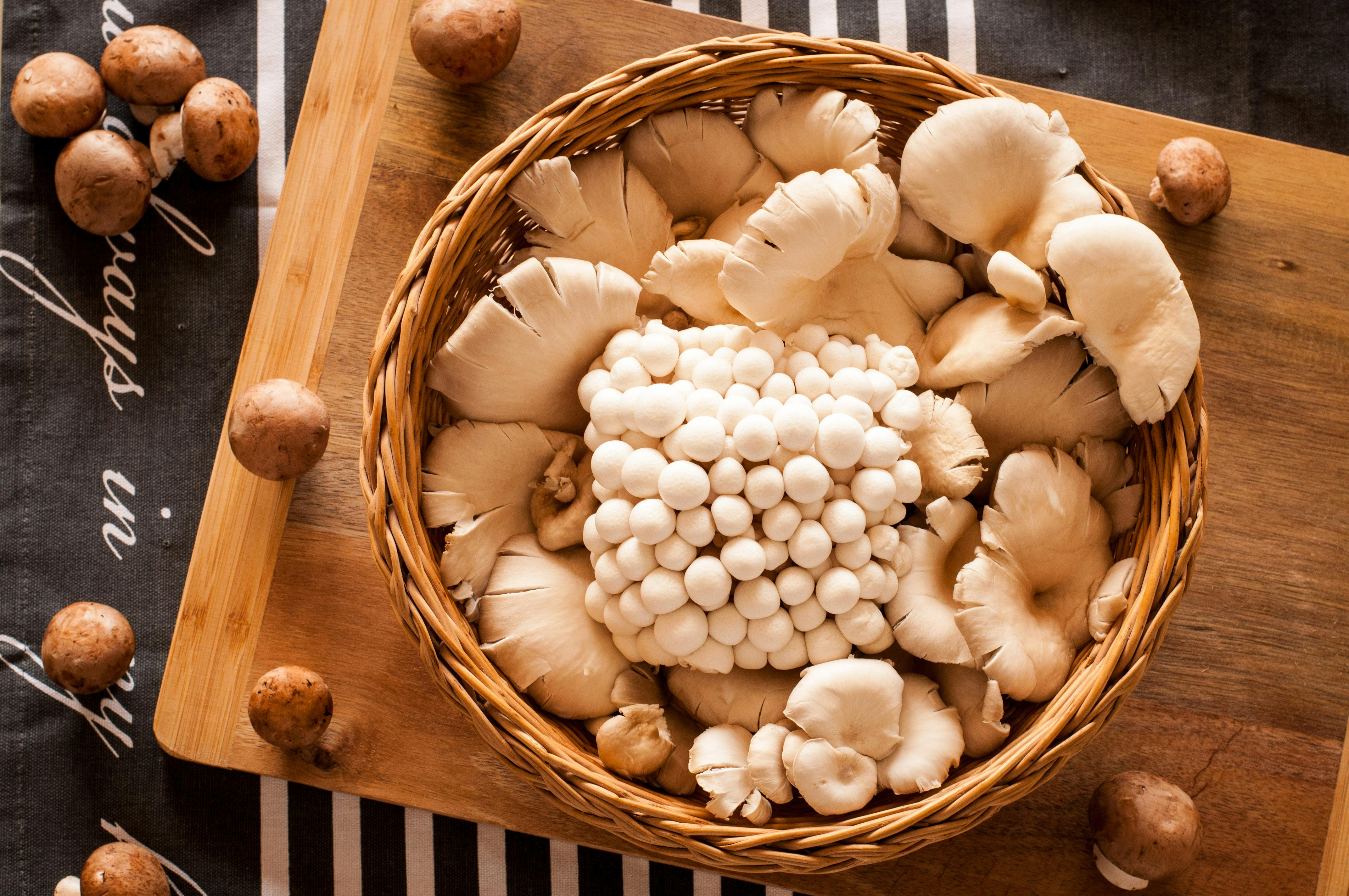 Oyster Mushroom